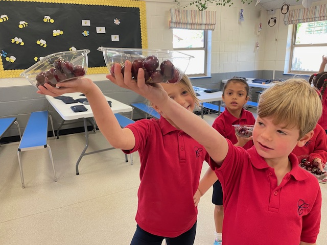 Fruits from Around the World!, Copthill School