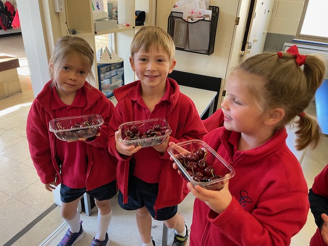 Fruits from Around the World!, Copthill School