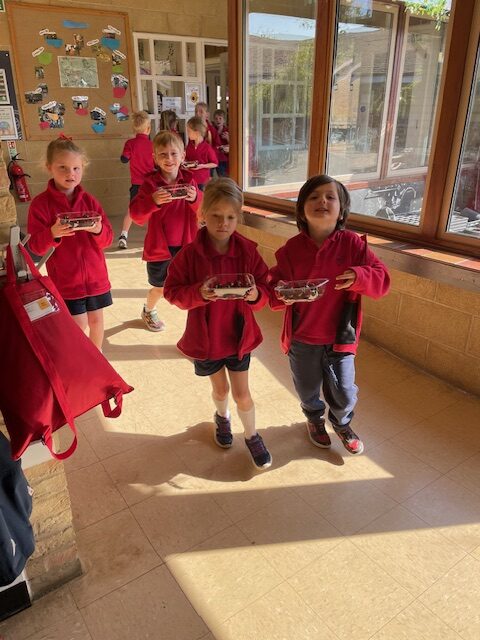 Fruits from Around the World!, Copthill School