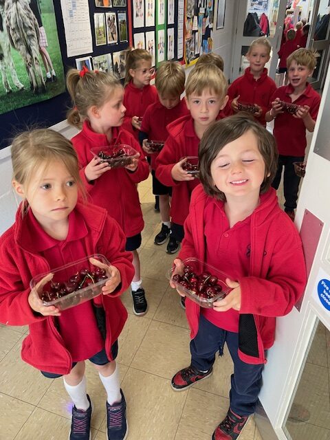 Fruits from Around the World!, Copthill School