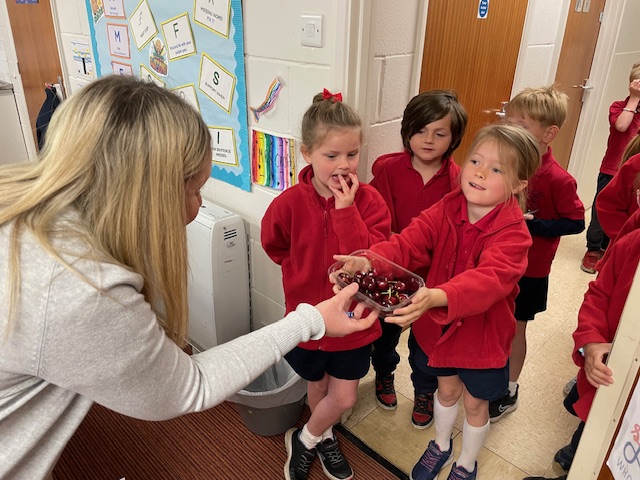 Fruits from Around the World!, Copthill School