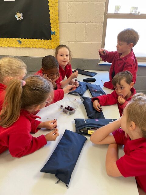 Fruits from Around the World!, Copthill School