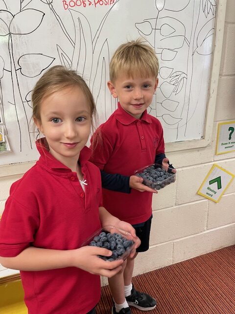 Fruits from Around the World!, Copthill School
