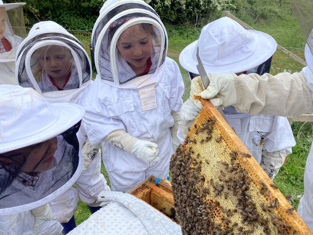 As we take a closer look…, Copthill School