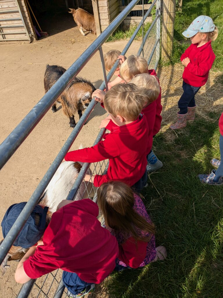 Fun in the Sun, Copthill School