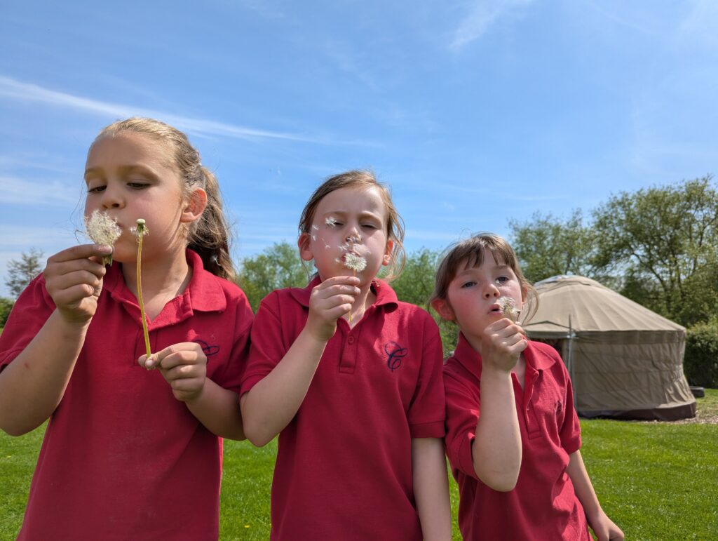 Oh what fun we had!, Copthill School
