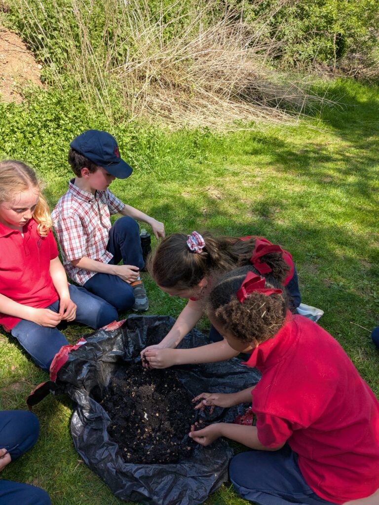 Oh what fun we had!, Copthill School