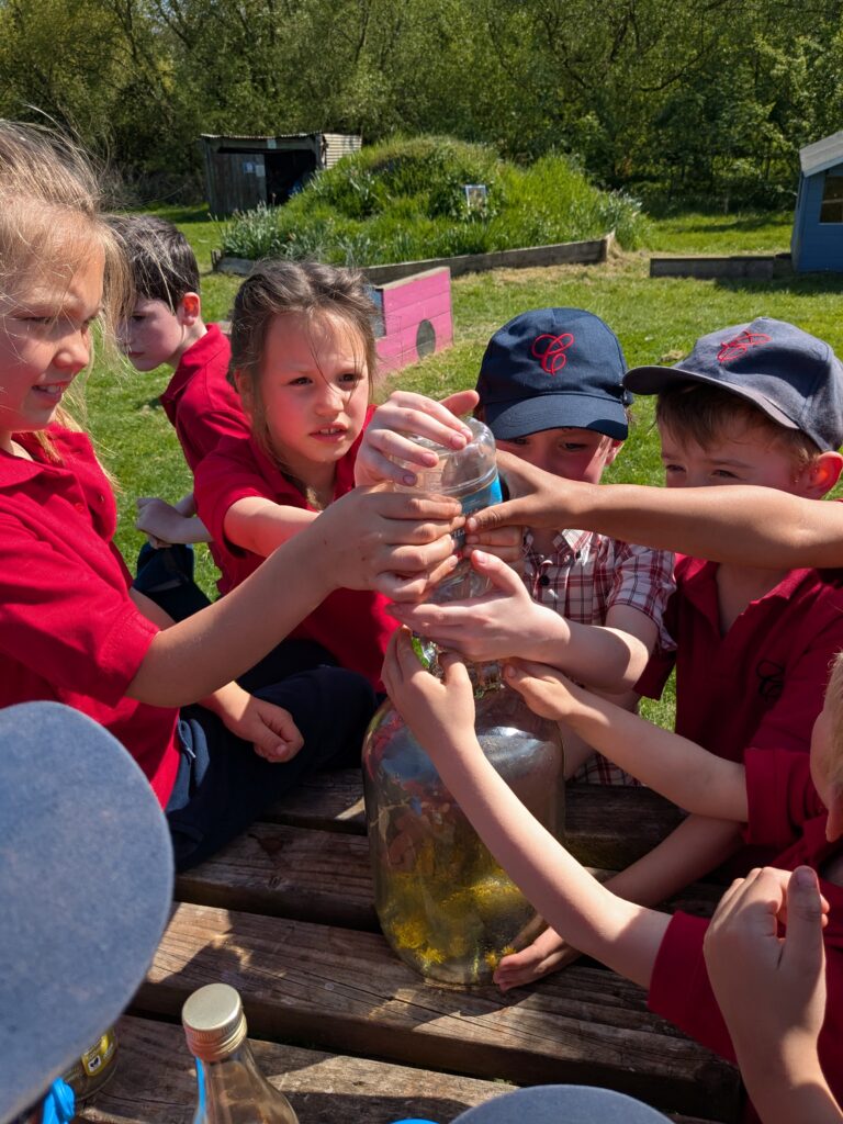 Oh what fun we had!, Copthill School
