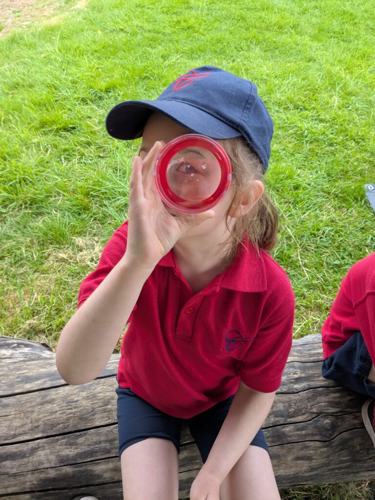 Copthill explorers, exploring micro habitats…, Copthill School