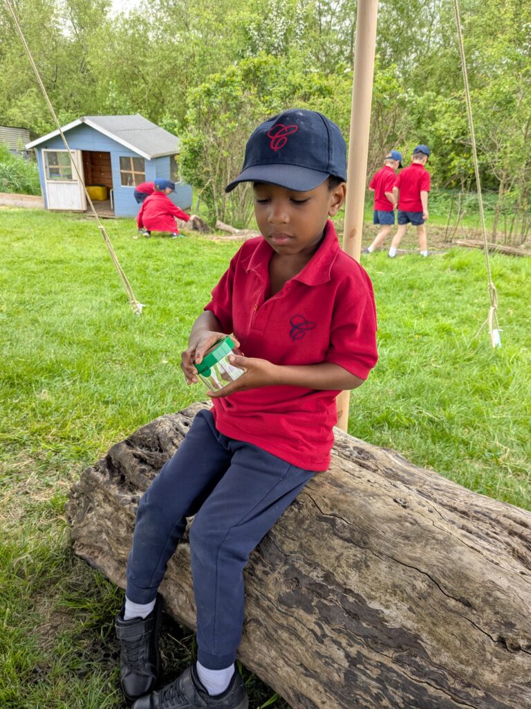Copthill explorers, exploring micro habitats…, Copthill School