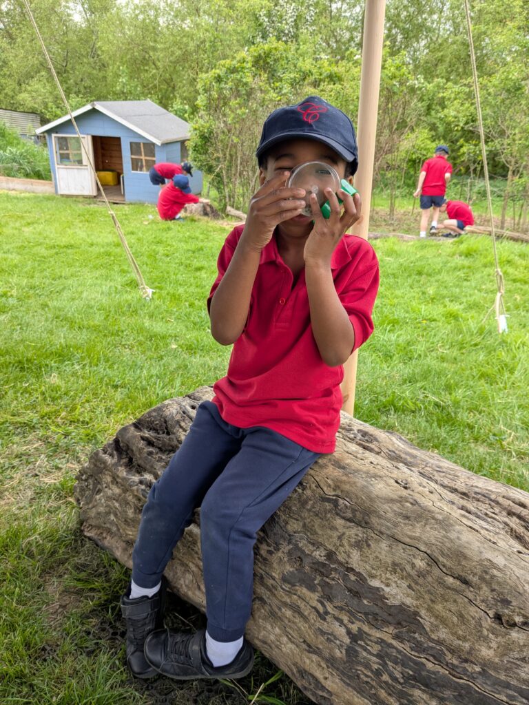 Copthill explorers, exploring micro habitats…, Copthill School