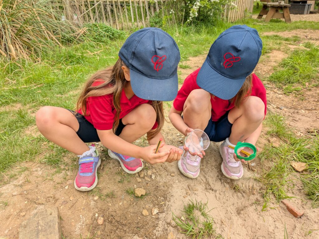 Copthill explorers, exploring micro habitats…, Copthill School