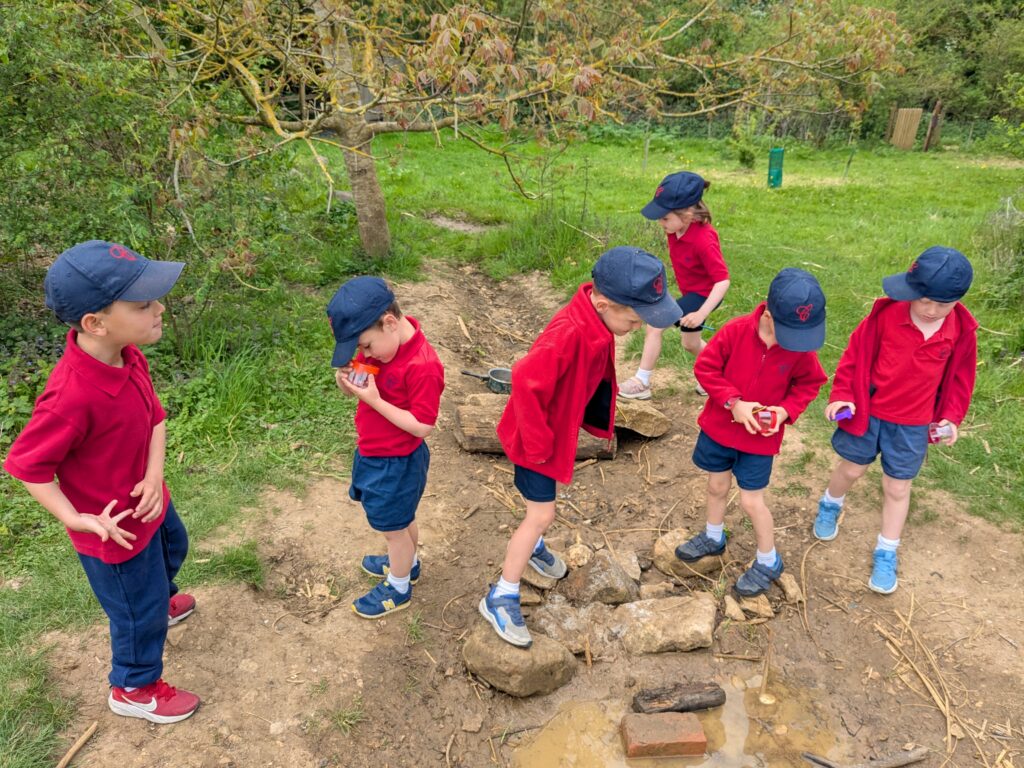 Copthill explorers, exploring micro habitats…, Copthill School