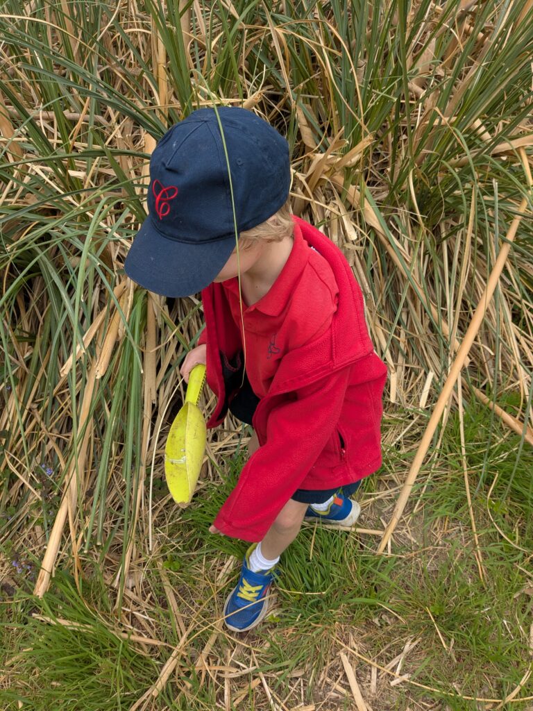 Copthill explorers, exploring micro habitats…, Copthill School