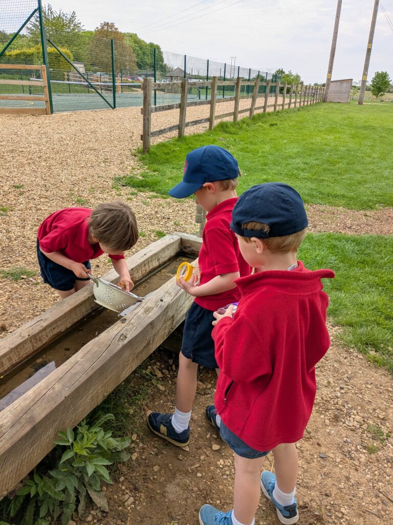 Copthill explorers, exploring micro habitats…, Copthill School