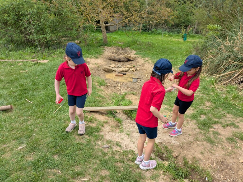 Copthill explorers, exploring micro habitats…, Copthill School