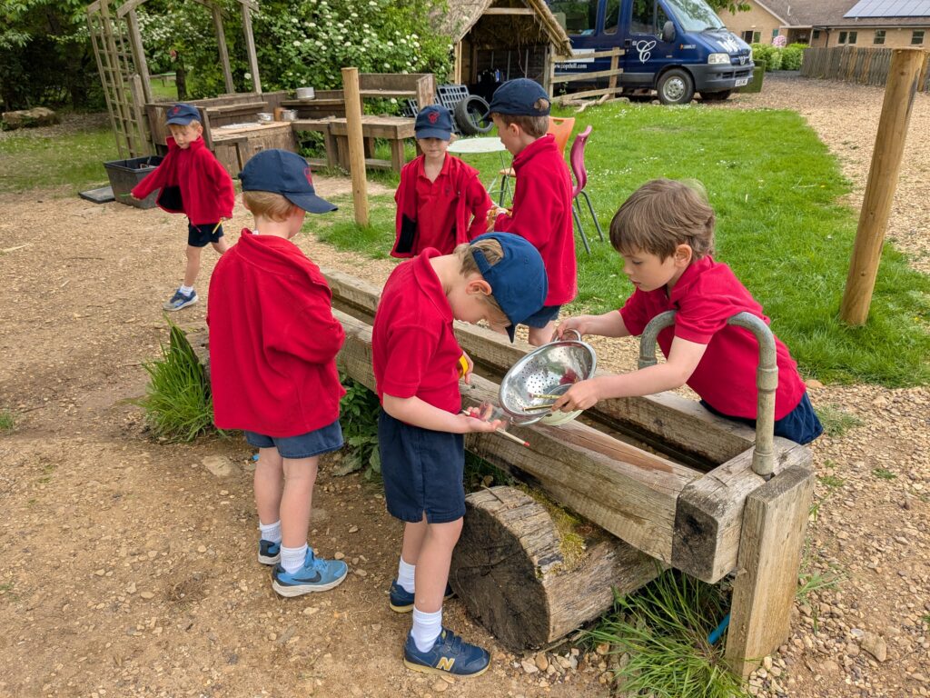Copthill explorers, exploring micro habitats…, Copthill School