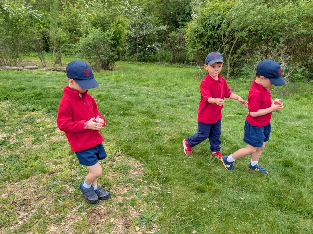 Copthill explorers, exploring micro habitats…, Copthill School