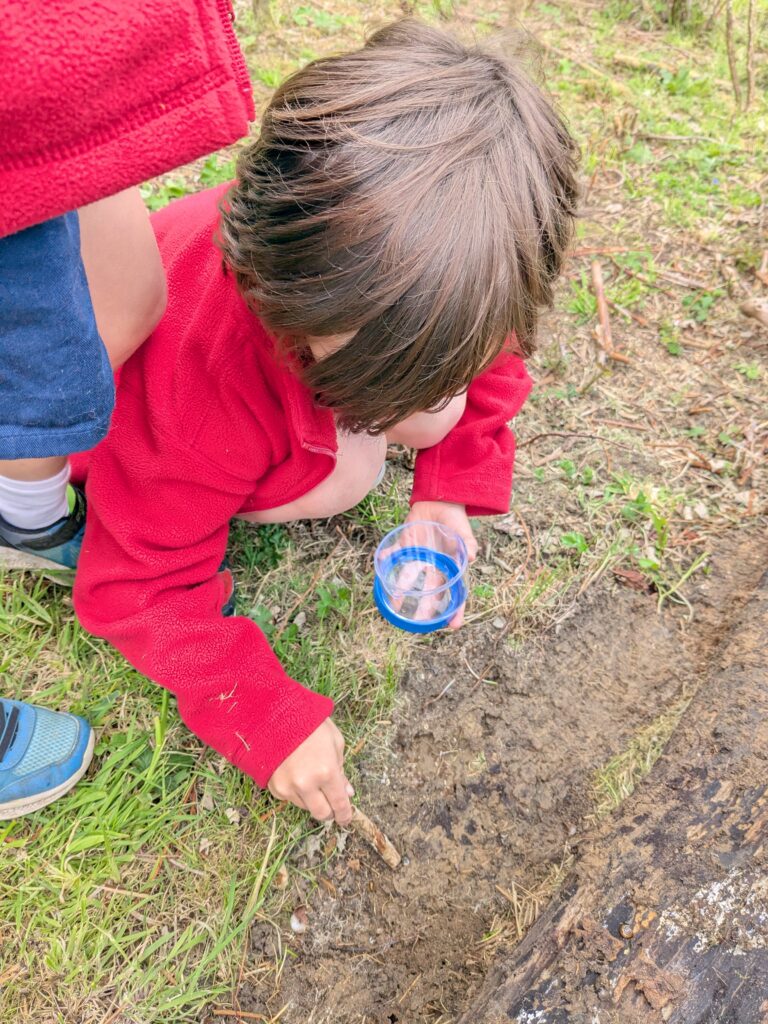 Copthill explorers, exploring micro habitats…, Copthill School