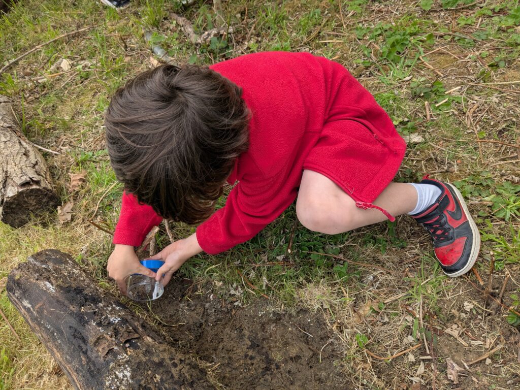 Copthill explorers, exploring micro habitats…, Copthill School