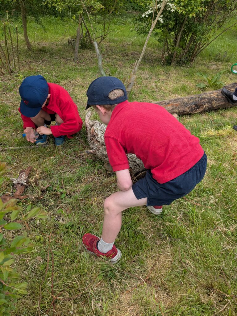 Copthill explorers, exploring micro habitats…, Copthill School