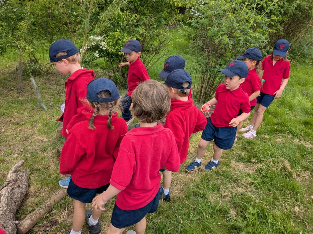 Copthill explorers, exploring micro habitats…, Copthill School
