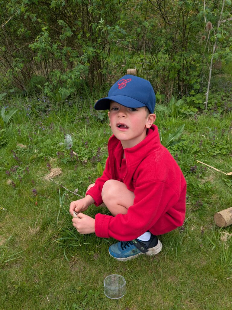 Copthill explorers, exploring micro habitats…, Copthill School