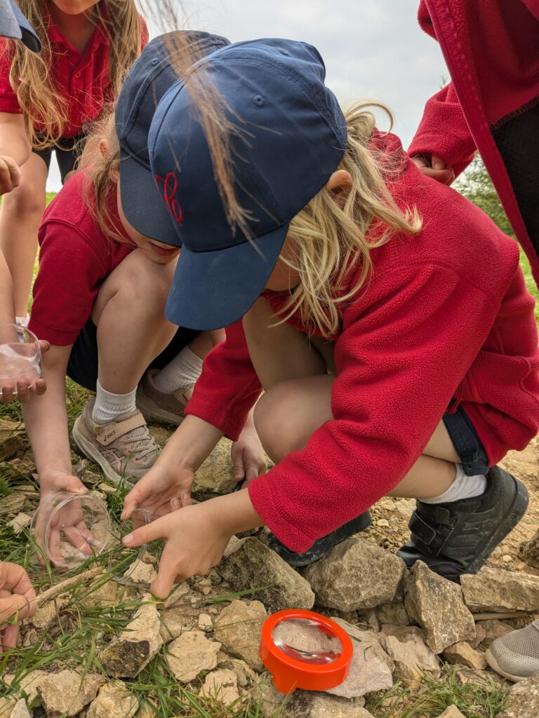 Copthill explorers, exploring micro habitats…, Copthill School