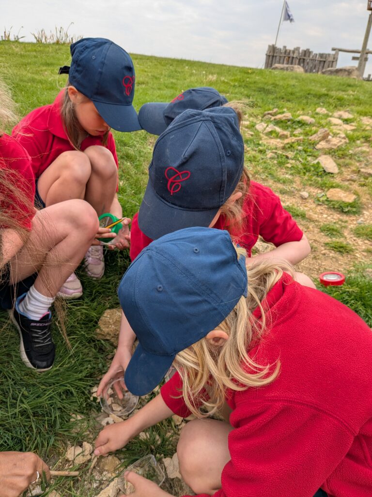 Copthill explorers, exploring micro habitats…, Copthill School
