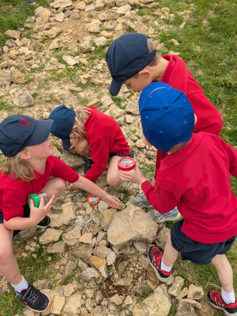 Copthill explorers, exploring micro habitats…, Copthill School