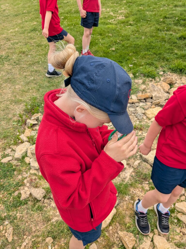 Copthill explorers, exploring micro habitats…, Copthill School