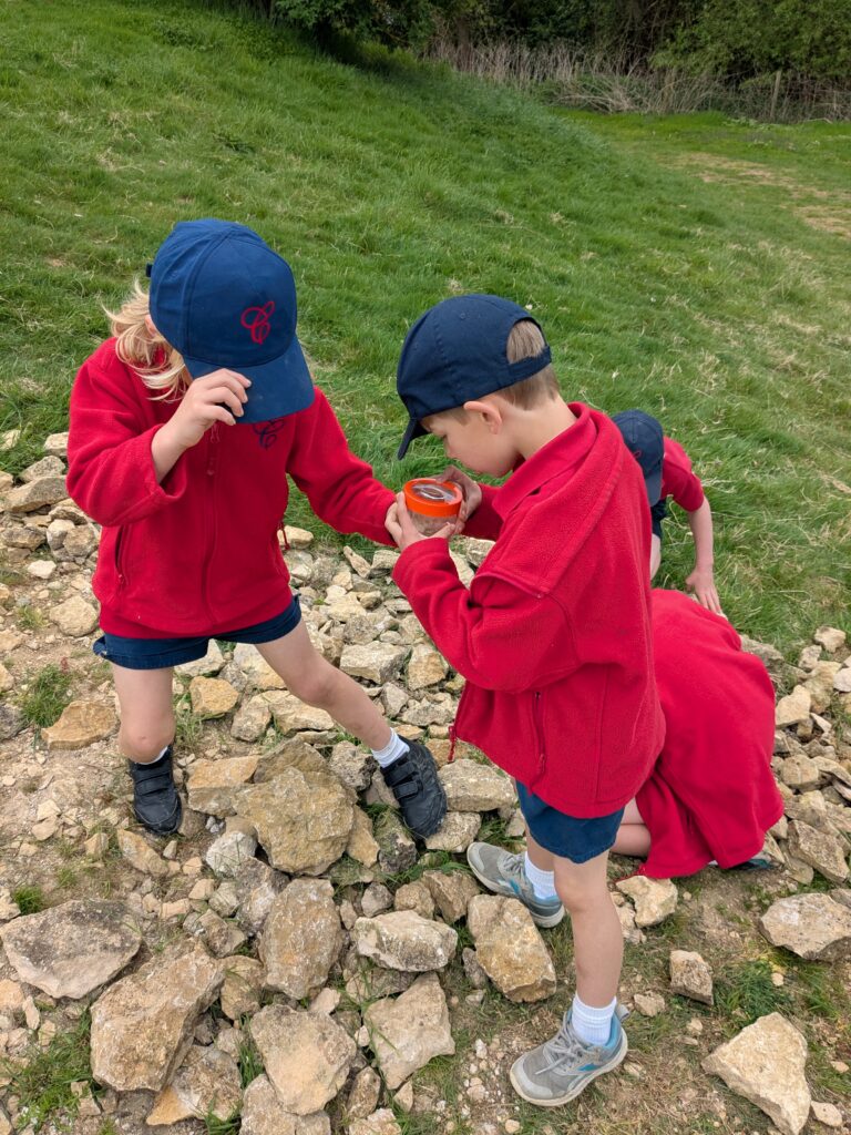 Copthill explorers, exploring micro habitats…, Copthill School