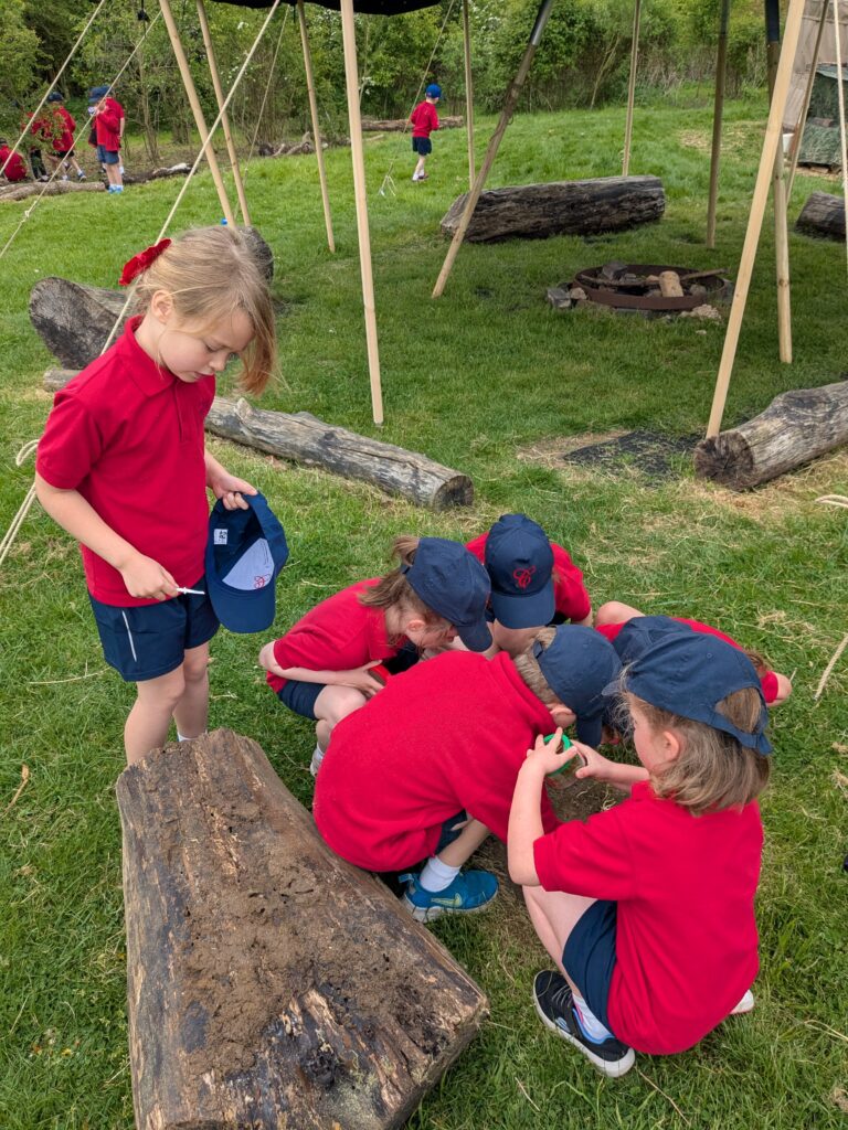 Copthill explorers, exploring micro habitats…, Copthill School