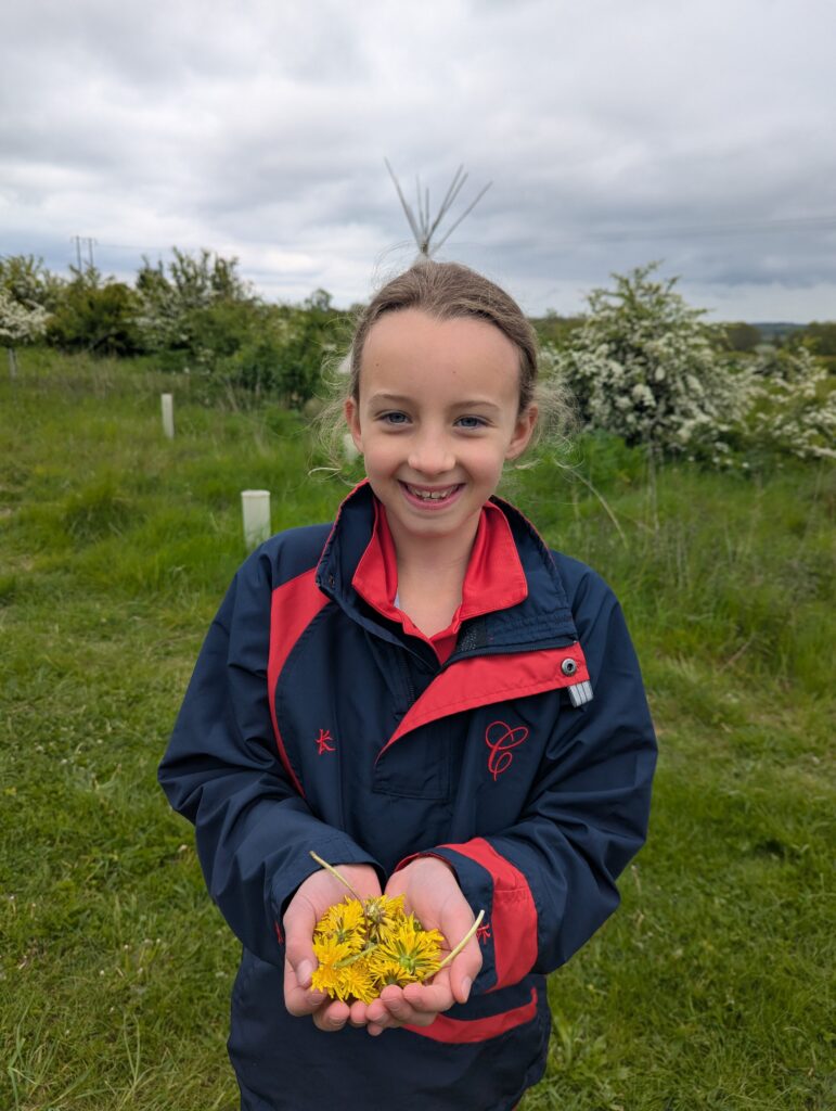 Dandelions!, Copthill School