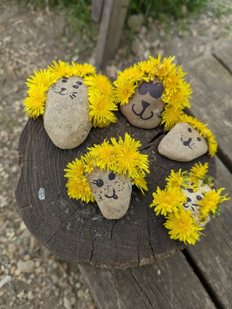 Dandelions!, Copthill School