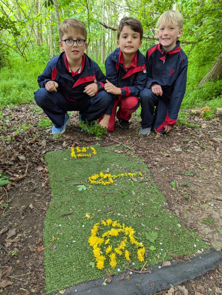 Dandelions!, Copthill School