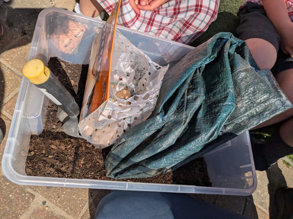 Spud-tacular News from the Quad! 🥔🌱, Copthill School