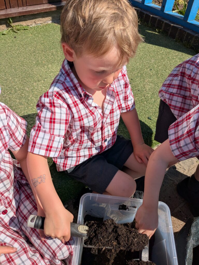 Spud-tacular News from the Quad! 🥔🌱, Copthill School