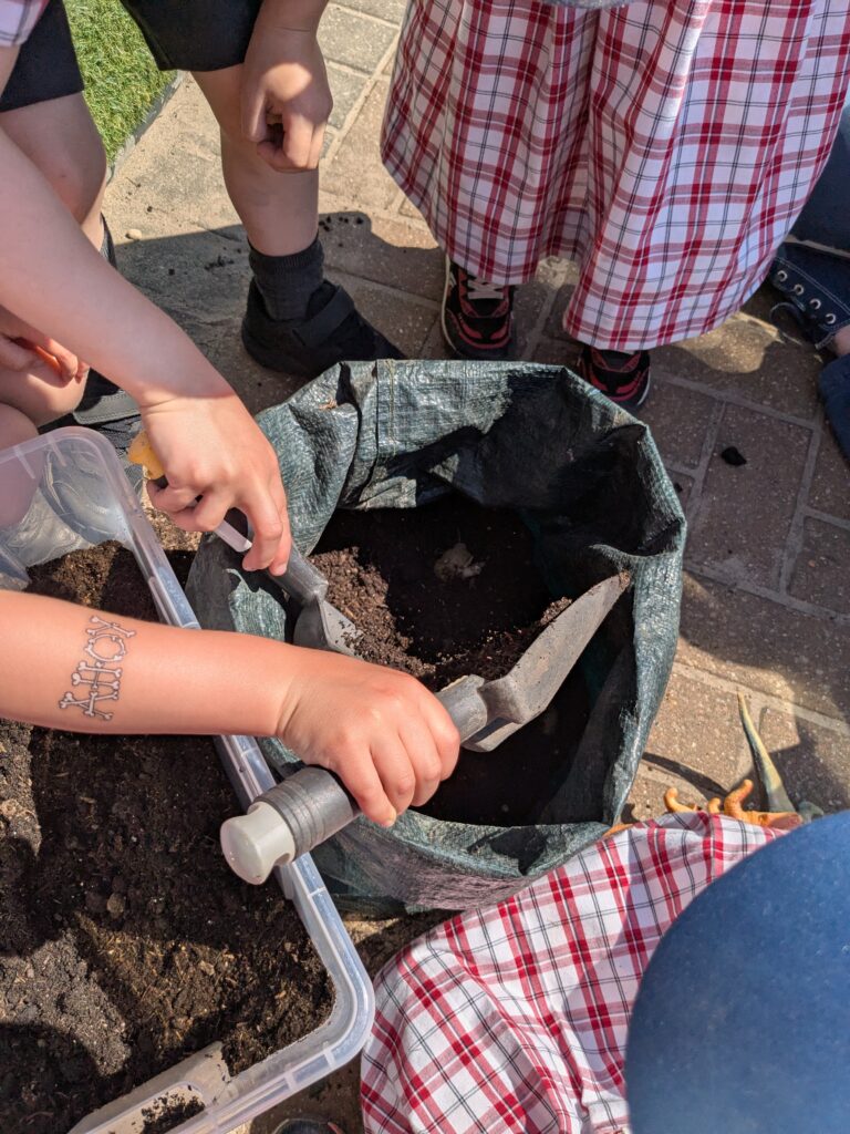Spud-tacular News from the Quad! 🥔🌱, Copthill School