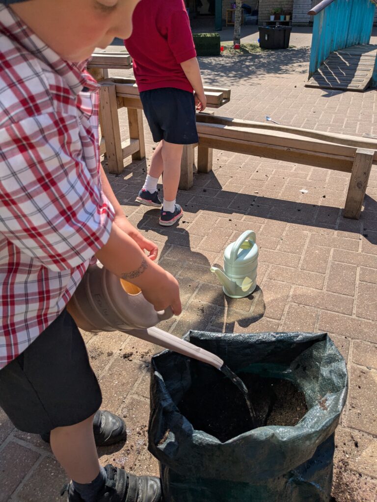 Spud-tacular News from the Quad! 🥔🌱, Copthill School