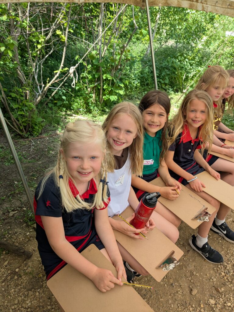 Viking Day!, Copthill School