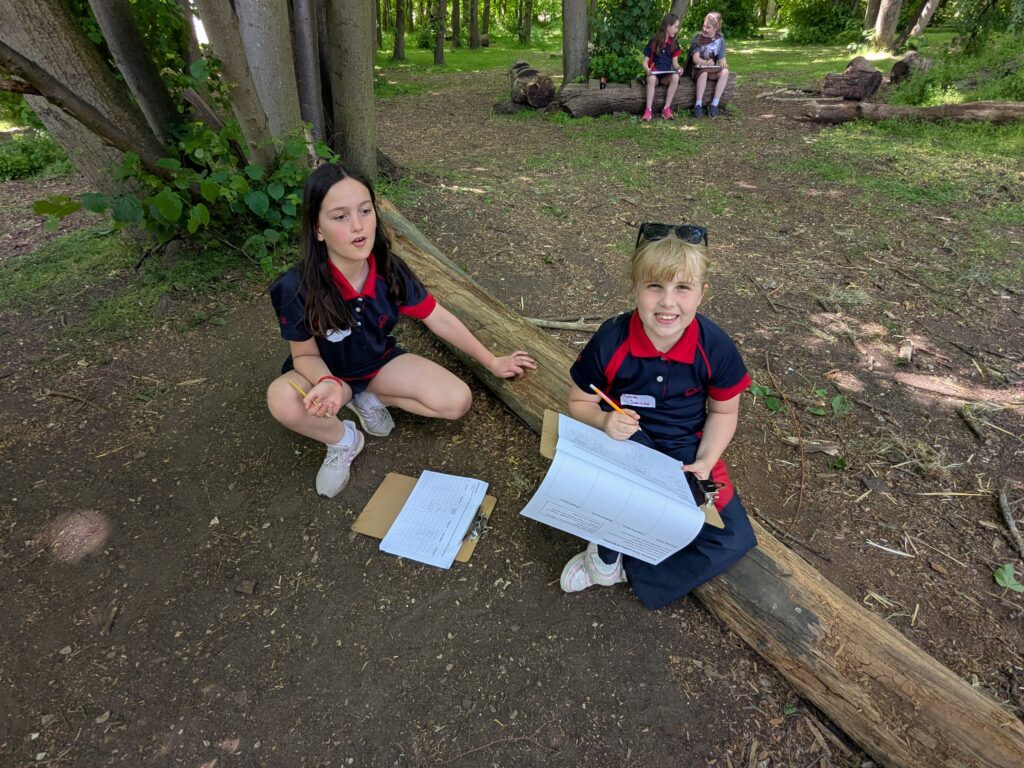 Viking Day!, Copthill School