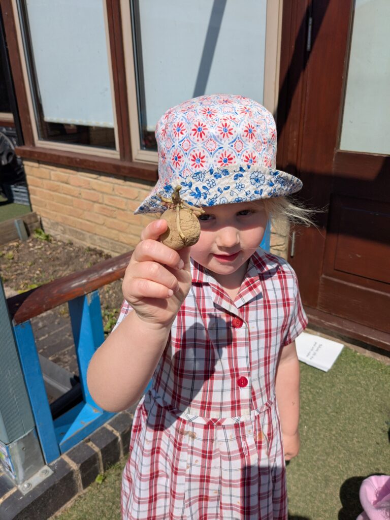 Spud-tacular News from the Quad! 🥔🌱, Copthill School