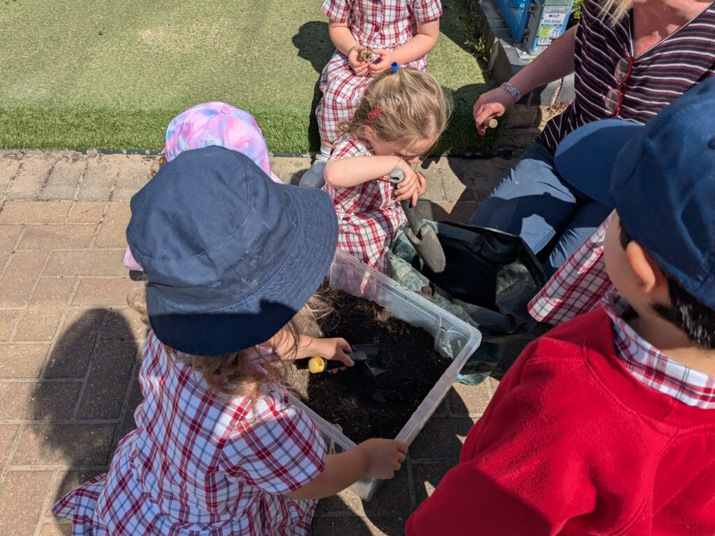 Spud-tacular News from the Quad! 🥔🌱, Copthill School