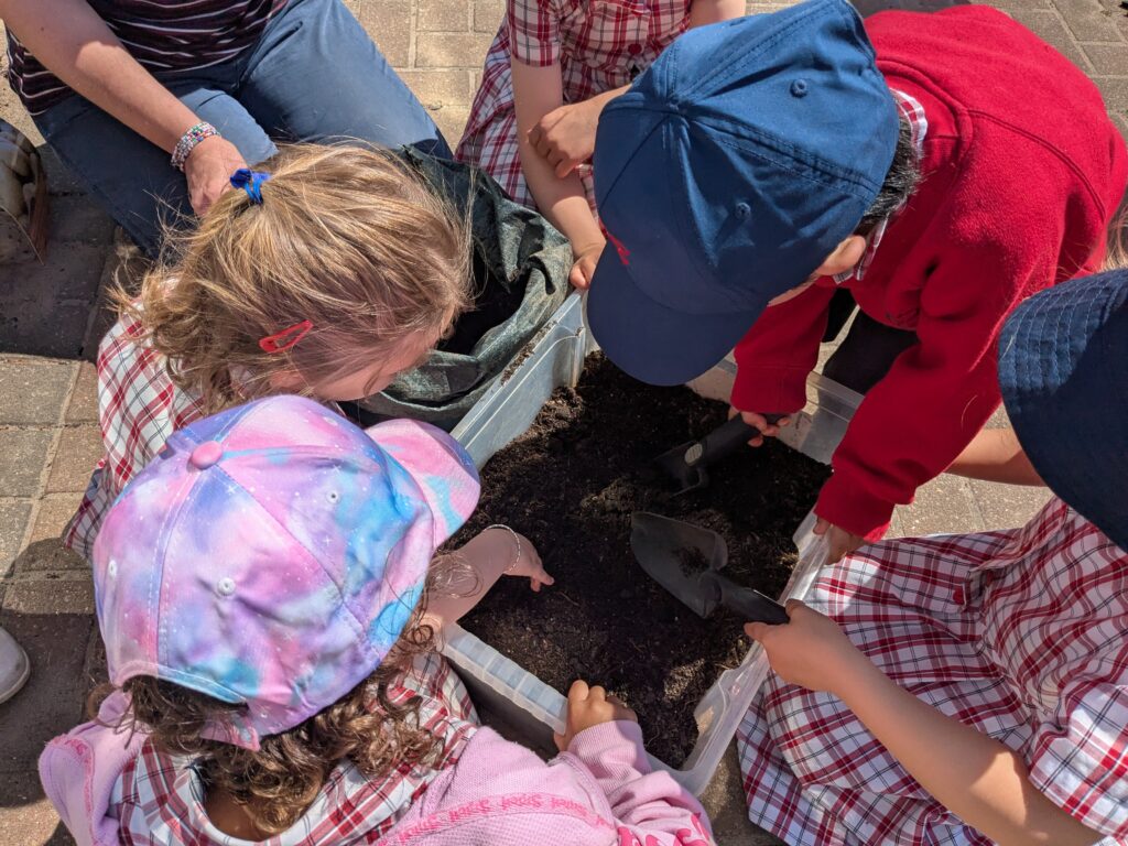 Spud-tacular News from the Quad! 🥔🌱, Copthill School