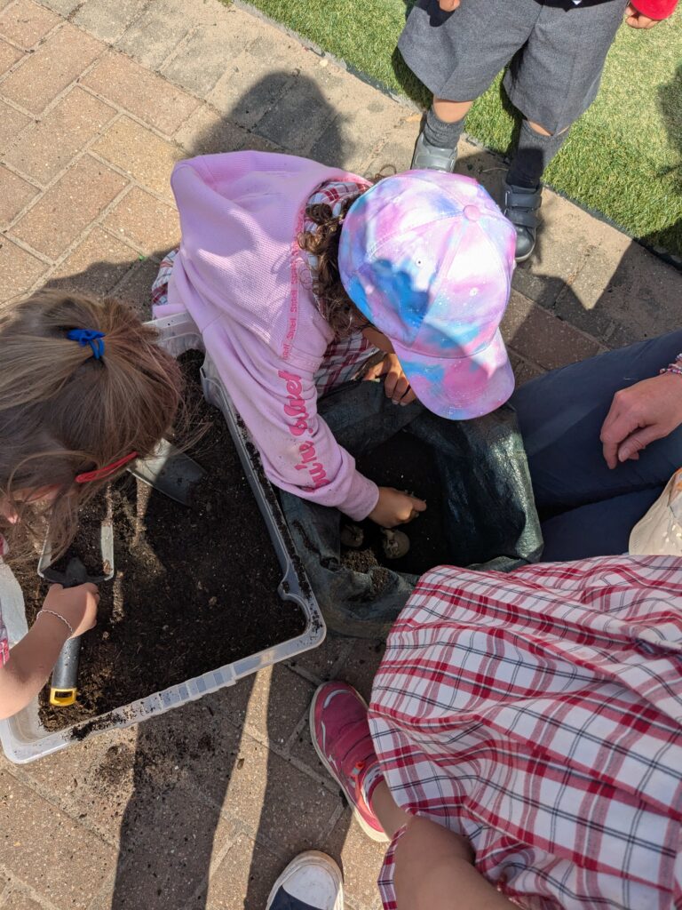 Spud-tacular News from the Quad! 🥔🌱, Copthill School