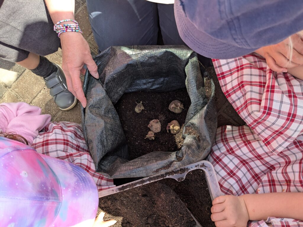 Spud-tacular News from the Quad! 🥔🌱, Copthill School
