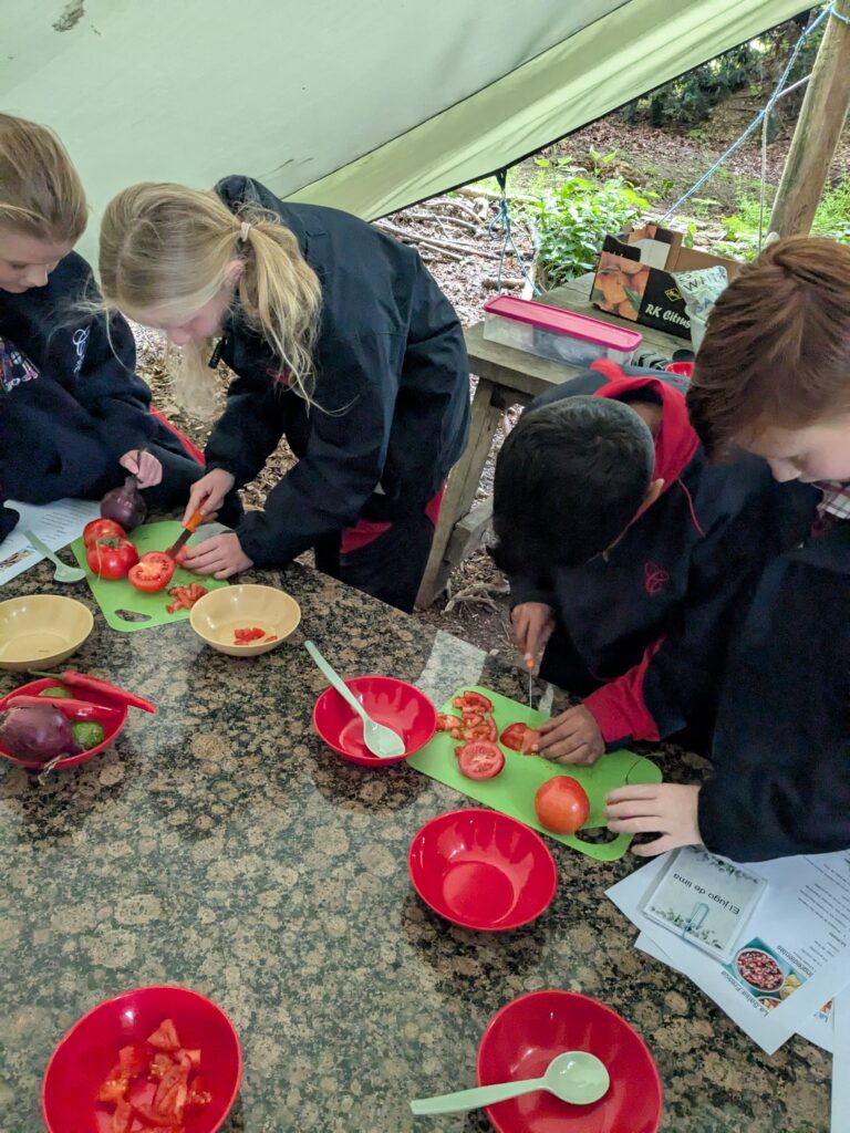 Spanish Salsa- Y5 GOAL, Copthill School