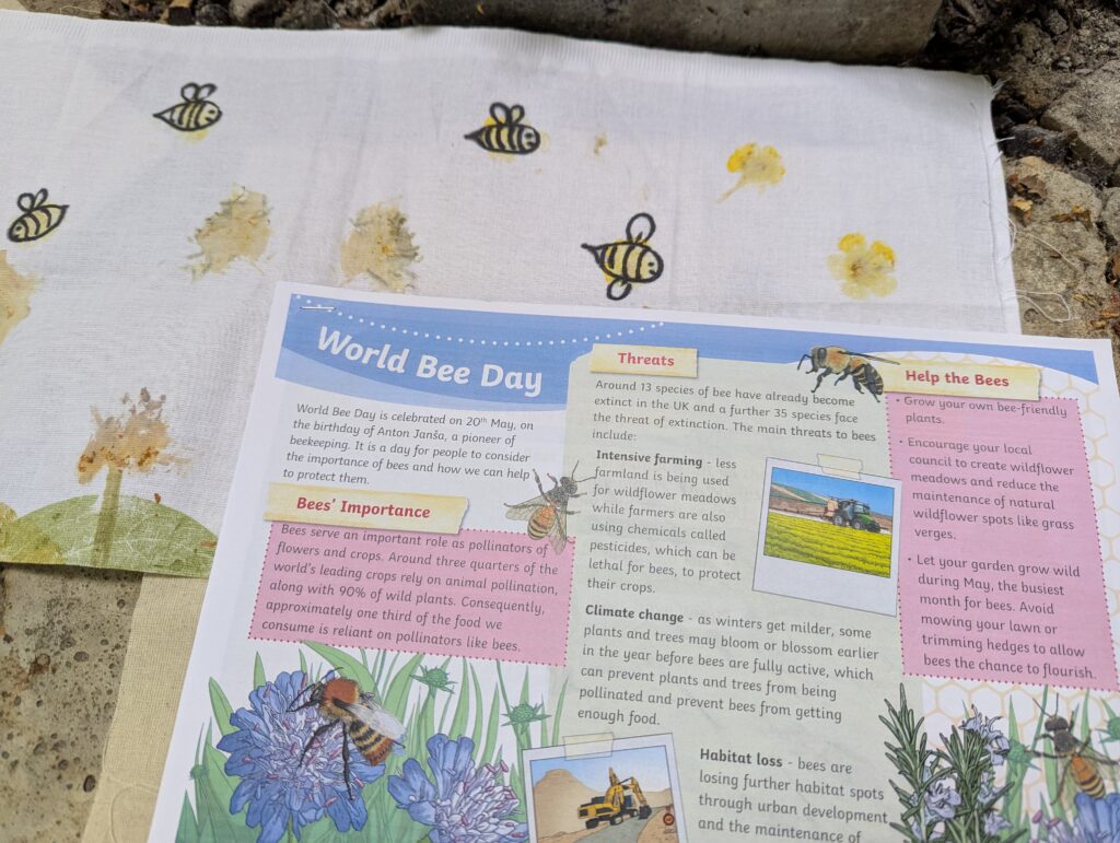 Bee utiful!, Copthill School