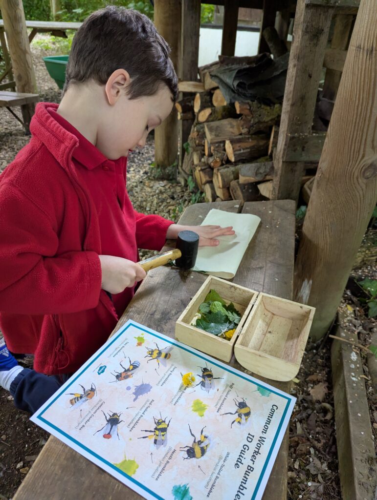 Bee utiful!, Copthill School